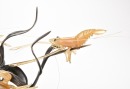 A Mid-20th Century Carved Translucent Material Shrimp - 9