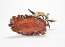 A Mid-20th Century Carved Translucent Material Shrimp - 13
