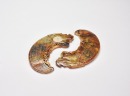 A Pair of Jade Dragon-Form Huang Pendants, Han Dynasty - 3