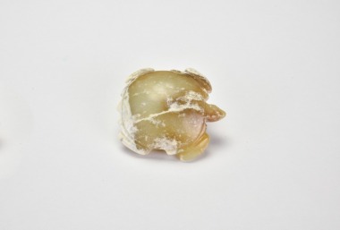 A Jade Turtle-Form Pendant, Hongshan Culture