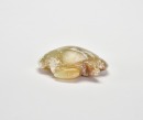 A Jade Turtle-Form Pendant, Hongshan Culture - 5
