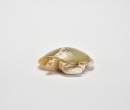 A Jade Turtle-Form Pendant, Hongshan Culture - 6