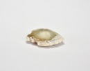 A Jade Turtle-Form Pendant, Hongshan Culture - 7