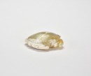 A Jade Turtle-Form Pendant, Hongshan Culture - 8