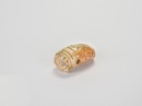 A Jade Cicada-Form Pendant. Liangzhu Culture, Neolithic Period - 3