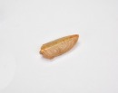 A Yellow Jade Cicada-Form Pendant, Zhou Dynasty