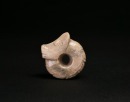 A Jade Tiger-Form Pendant. Neolithic Period - 5