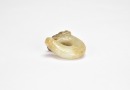 A Carved Jade Coiled Dragon Pendant, Shang Dynasty - 8