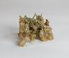 Qing-A Jadeite Carved Grasshoppers And Flower (Wood Stand) - 6