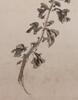 Pu Ru (1896-1963) - Ink On Paper, Mounted. Signed And Seal. - 5