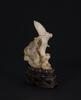 Qing - A White Coral Carved Koi (Wood Stand)<br>H:7.6 cm (3 in) - 2