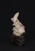 Qing - A White Coral Carved Koi (Wood Stand)<br>H:7.6 cm (3 in) - 3