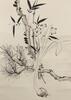 Zhang Daqian(1899-1983) Ink On Paper - 3