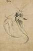 Li Shan(1686-1757) Ink And Color On Paper - 4
