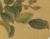 Attributedto- Ma Quan(1669-1722) Ink And Color on Silk - 3