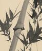 Hu Jize(20th Century)Bamboo Ink On Paper - 2
