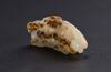 Qing - A Russet White Jade Carved Lingzhi Pendant - 2