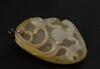 Qing - A Russet White Jade Carved Frog And Lotus - 6