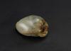 Qing - A Russet White Jade Carved Peach And Bat - 3