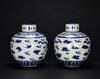Late Qing-A Pair Of Blue And White - 2