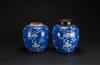 Qing - A Pair Of Blue And White ‘Plum Flowers’Jars - 3