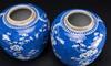 Qing - A Pair Of Blue And White ‘Plum Flowers’Jars - 4