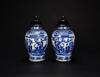 Qing-A Pair Of Blue And White - 3