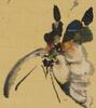 Zhang Daqain(1898-1983) Butterfly Painting Pu Ru (1896-1963) Calligraphy - 6