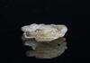 Liao-A White Jade Carved Dragon Pendant - 7
