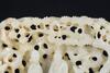 Liao-A White Jade Carved ‘Sage,Pine,Deer,Crane’ Pendent - 2