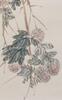 Qi Baishi(1864-1957) Chen Banding(1876-1970) - 4