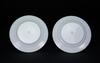 A Pair Of Cantoon-Glazed Dishes - 4