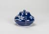 Qing - A Blue Ground Carved 'Plum Flower' Tea Pot - 10