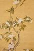 Attributed To: Zou Yigui(1686-1772) - 2