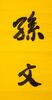 Sun Wen(1866-1925)Calligraphy Couplet - 11