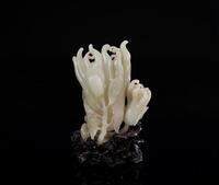 Late Qing-A White Jade Car ved Bergamot and Cicada With Woodstand