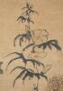 Li Shan(1686-1756) - 2