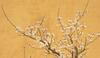 Attributed To: Jin Nong (1687-1763) - 8