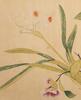 Attributed To: Jiang Yanxi (1669-1732) - 25