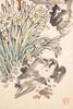 Wu Changshuo (1844-1927) - 4