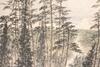 Fu Baoshi (1904-1965) Painting, - 2