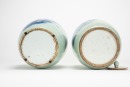 Late Qing/Republic - A Pair Of Chinese Blue And White Porcelain &lsquo;Birds And Flowers&rsquo; Cover Jars - 5