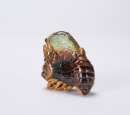 Qing - A Famille - Rose Glaze Porcelain Two Cicada - 3