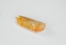 Antique-A Russet White Jade Cicada - 3