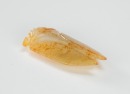 Antique-A Russet White Jade Cicada - 4