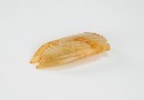 Antique-A Russet White Jade Cicada - 6