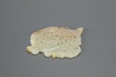 A Chinese White Jade Carved Phoenix Pendant (Han Dynasty) - 9