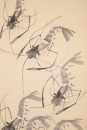 Qi Baishi(1864-1957) - 2