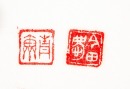 A Pair Of A Qingtianshi Carved Beast Seals - 7