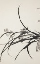 Qi Baishi(1864-1957)Three Paintings - 10